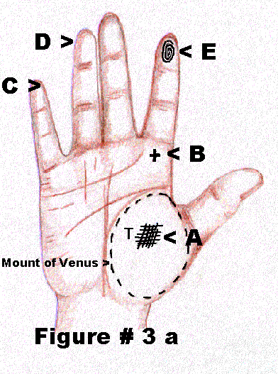 The mount of Venus
