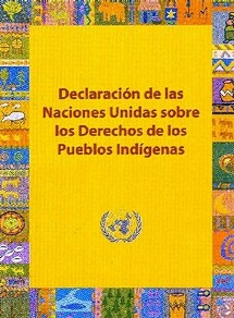 Declaracion ONU