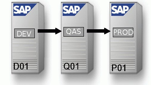 sap-landscape.jpg